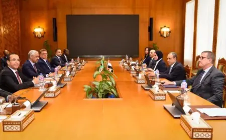 وزير الخارجية يعلن عن تعزيز التعاون مع بنك التنمية الإفريقي لتحقيق التنمية المستدامة