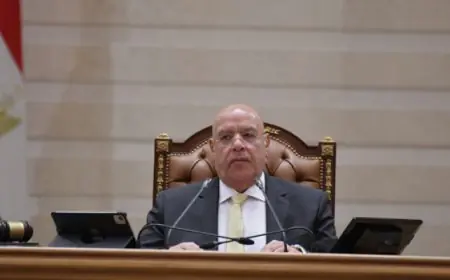 النواب يحيل 5 مشروعات قوانين حكومية تشمل قوانين الأسرة إلى اللجان المختصة