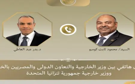 وزير الخارجية يبحث مع نظيره التنزاني تعزيز العلاقات الثنائية والقضايا الإقليمية عبر الهاتف