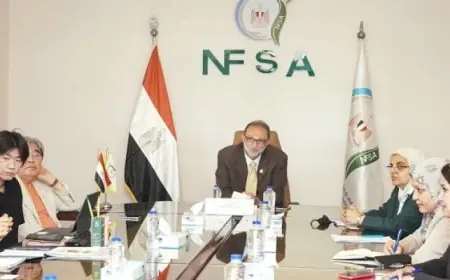 رئيس الهيئة القومية لسلامة الغذاء يرحب بوفد الجمعية الكورية للصناعات الغذائية لتعزيز شراكات التعاون المشترك