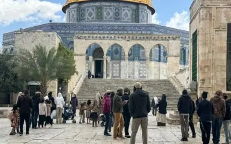 القدس تحذر من تصاعد دعوات الاحتلال لاقتحام المسجد الأقصى في منتصف مايو