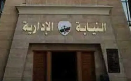 النيابة الإدارية تقرر إحالة 10 مسؤولين في تعليم القاهرة للمحاكمة التأديبية