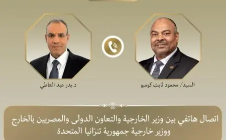 وزير الخارجية ونظيره التنزاني يؤكدان أهمية سد جوليوس نيريري في تعزيز العلاقات الثنائية