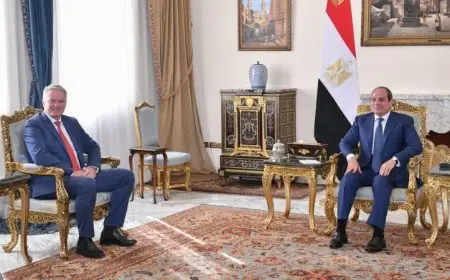 الرئيس السيسي يؤكد أهمية تعزيز الشراكة مع منظمة التعاون الاقتصادي والتنمية