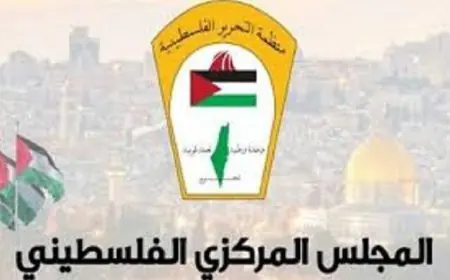 عضو المركزي الفلسطيني يكشف عن استهداف الصحفيين من قبل إسرائيل لطمس الحقائق