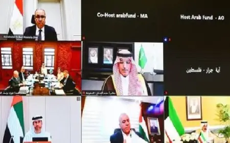 الشراكة بين العربى للإنماء الاقتصادى والاجتماعى ومصر نموذج يحتذى به في التعاون البناء وفقاً لوزير الخارجية