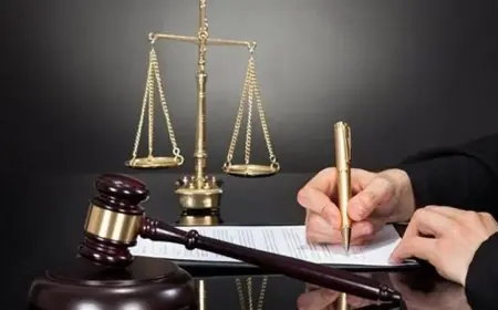 الحكم بالمؤبد والمشدد على 67 متهماً في أكبر قضية احتيال لبطاقات الإعاقة وتحقيق الأرباح منها