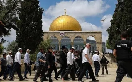 مستوطنون يقتحمون المسجد الأقصى المبارك تحت حماية قوات الاحتلال الإسرائيلي