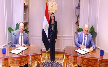 وزيرة التضامن تطلق بروتوكولًا جديدًا لعلاج وتأهيل مرضى الإدمان من المشردين