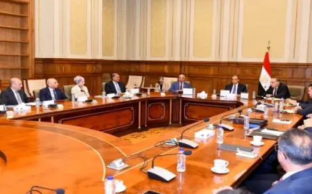 وزير الخارجية يناقش ملفات هامة مع لجنة العلاقات الخارجية والعربية والأفريقية في مجلس الشيوخ