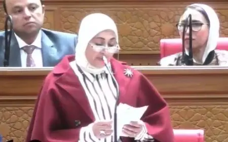 رئيس لجنة الإعلام في مجلس النواب تؤكد أهمية صرف مكافآت نهاية الخدمة للعاملين في ماسبيرو
