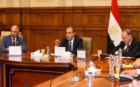وزير الخارجية يكشف عن استراتيجيات السياسة الخارجية ويبرز جهود حماية مصالح الوطن