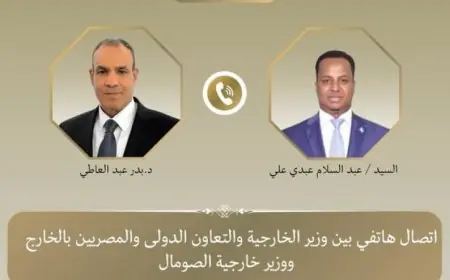 وزير الخارجية يناقش مستجدات الأوضاع في الصومال مع نظيره الصومالي