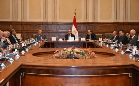 رئيس خارجية الشيوخ يعلن عن دعم برلماني كامل لتعزيز السياسة الخارجية