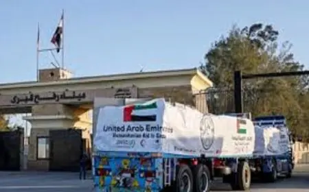 مساعدات إماراتية للفلسطينيين في غزة تصل عبر ميناء رفح البري