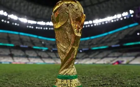 فرصة عمل مثالية لمشجعي كرة القدم شاهد جميع مباريات كأس العالم براتب 50 ألف دولار