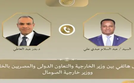 وزير الخارجية المصري يعيد تأكيد دعم مصر لوحدة وسيادة أراضي جمهورية الصومال الفيدرالية