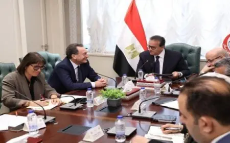 مصر وفرنسا تتعاونان لخدمة المصابين الفلسطينيين من خلال تعزيز الشراكة الطبية