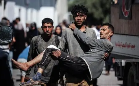 ارتفاع حصيلة شهداء عدوان الاحتلال الإسرائيلي على غزة إلى 72619 شهيدا