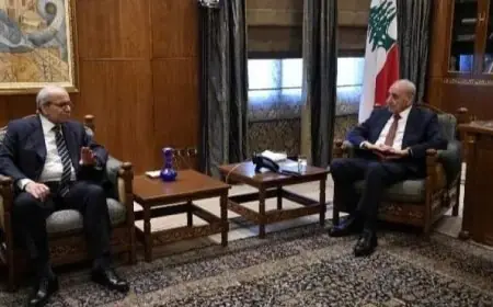 رئيسا النواب والحكومة في لبنان يناقشان تداعيات انتهاك إسرائيل لوقف إطلاق النار