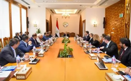 وزير الخارجية يبحث مع ممثلي الشركات المصرية في أفريقيا فرص تعزيز النشاط الاقتصادي