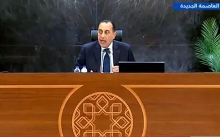 رئيس الوزراء يعلن عن خطط لتحقيق 45% من الطاقة الجديدة والمتجددة بحلول عام 2028