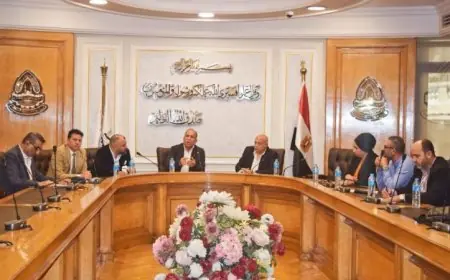 شعبة النقل الدولي تقدم خطة شاملة لتحديث القطاع تماشياً مع رؤية مصر 2030