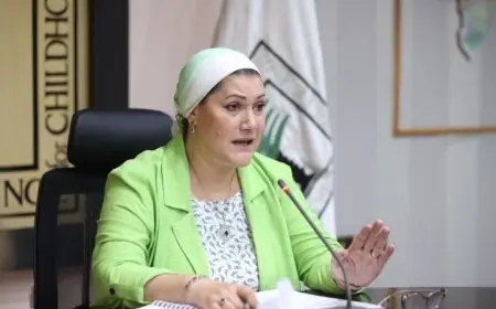 السنباطي يكشف عن موازنة المجلس لعام 2026/2027 لتعزيز حماية الطفل ودعم الأسرة المصرية