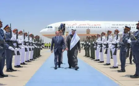 الرئيس السيسي يحذر من خطورة الاعتداءات الإيرانية على الإمارات وتأثيرها على أمن المنطقة