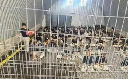زيادة عدد الأسرى والمعتقلين في سجون الاحتلال إلى أكثر من 9400 حتى بداية مايو
