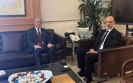 لبنان وأميركا تستعرضان مستجدات الأوضاع وتعززتان التعاون الثنائي