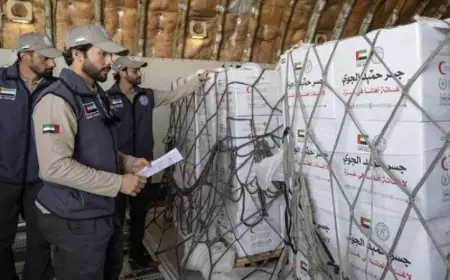 بدعم إماراتي طائرة جسر حميد الجوي تصل العريش لدعم غزة