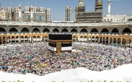 مايا مرسي تعلن بدء أول أفواج حجاج الجمعيات الأهلية إلى المدينة المنورة غدا