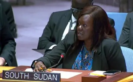 جنوب السودان تعزز التزامها باتفاق 2011 وقرارات مجلس الأمن حول منطقة أبيي
