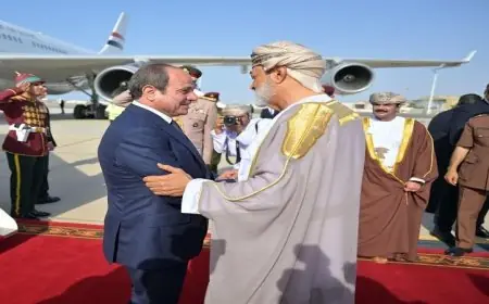 الرئيس السيسي يختتم جولته في الإمارات وسلطنة عمان ويعود إلى الوطن