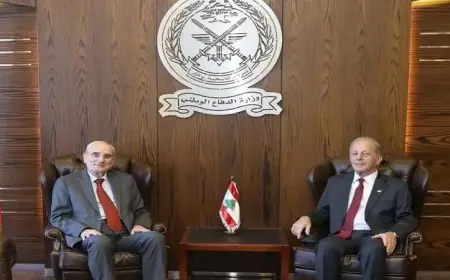 بيروت وواشنطن تؤكدان على ضرورة التوصل لاتفاق أمني لإنهاء الاعتداءات الإسرائيلية