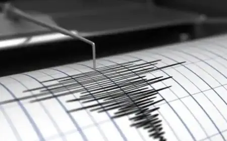 زلزال قوي بقوة 4.6 درجة يضرب محافظة فوكوشيما في اليابان