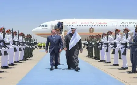 الرئيس السيسى يزور الإمارات ويشدد على وحدة المصير بين مصر والإمارات