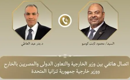 وزير الخارجية يتباحث مع نظيره التنزاني حول تعزيز الشراكة الثنائية وتطوير العلاقات الاقتصادية