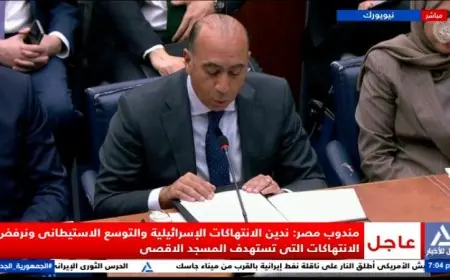 مندوب مصر في مجلس الأمن يندد بالانتهاكات الإسرائيلية في الضفة الغربية والقدس