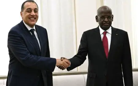 رئيس الوزراء يزور جيبوتي لحضور مراسم تنصيب الرئيس إسماعيل عمر جيله