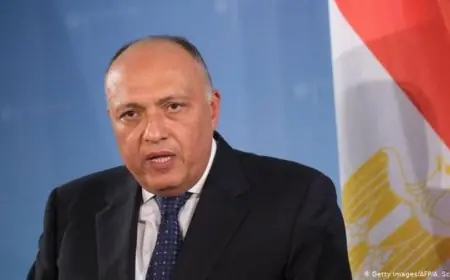 رئيس لجنة الخارجية بالبرلمان يؤكد أن زيارة ماكرون تعزز قوة العلاقات المصرية الفرنسية
