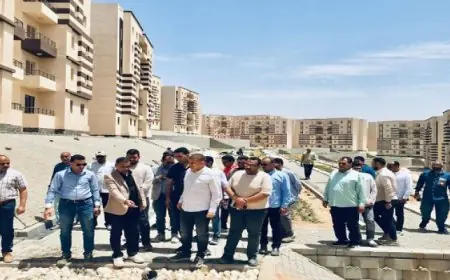 وزيرة الإسكان تراقب تقدم تنفيذ وحدات المبادرة الرئاسية سكن لكل المصريين في المدن الجديدة