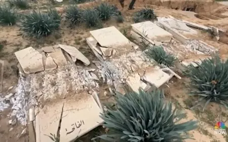 الأمم المتحدة تصف نبش إسرائيل لقبر في جنين بأنه عمل مروع ومستهجن