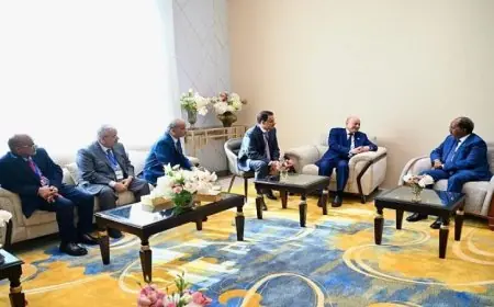 رئيس القيادة اليمني يناقش التطورات الإقليمية مع رئيسي جيبوتي والصومال