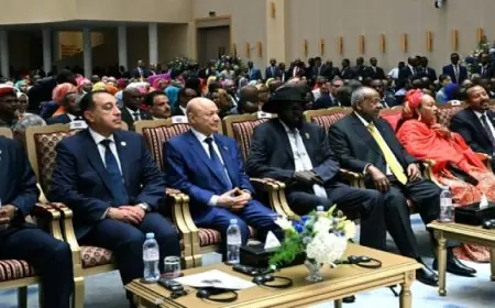 رئيس الوزراء يمثل الرئيس السيسى في حفل تنصيب إسماعيل عمر جيله رئيس جيبوتى