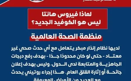 الصحة تؤكد خلو مصر من أي حالات إصابة بفيروس هانتا