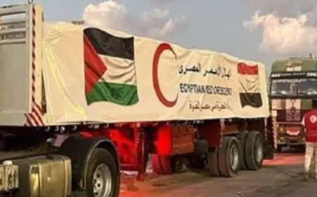 قافلة زاد العزة 192 تصل قطاع غزة محملة بمساعدات إنسانية ودعم بالوقود