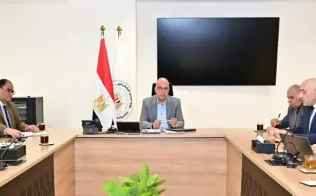 وزير الري يراقب حملة إزالة التعديات على المجاري المائية وأراضي الري لضمان الحفاظ على الموارد المائية