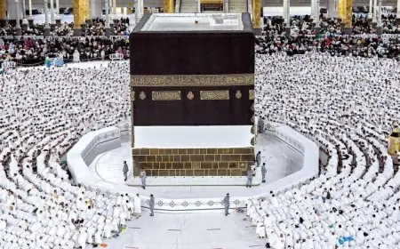 انطلاق موسم الحج السياحي براً وجواً مع نظام إلكتروني مبتكر وغير مسبوق للمراقبة والمتابعة